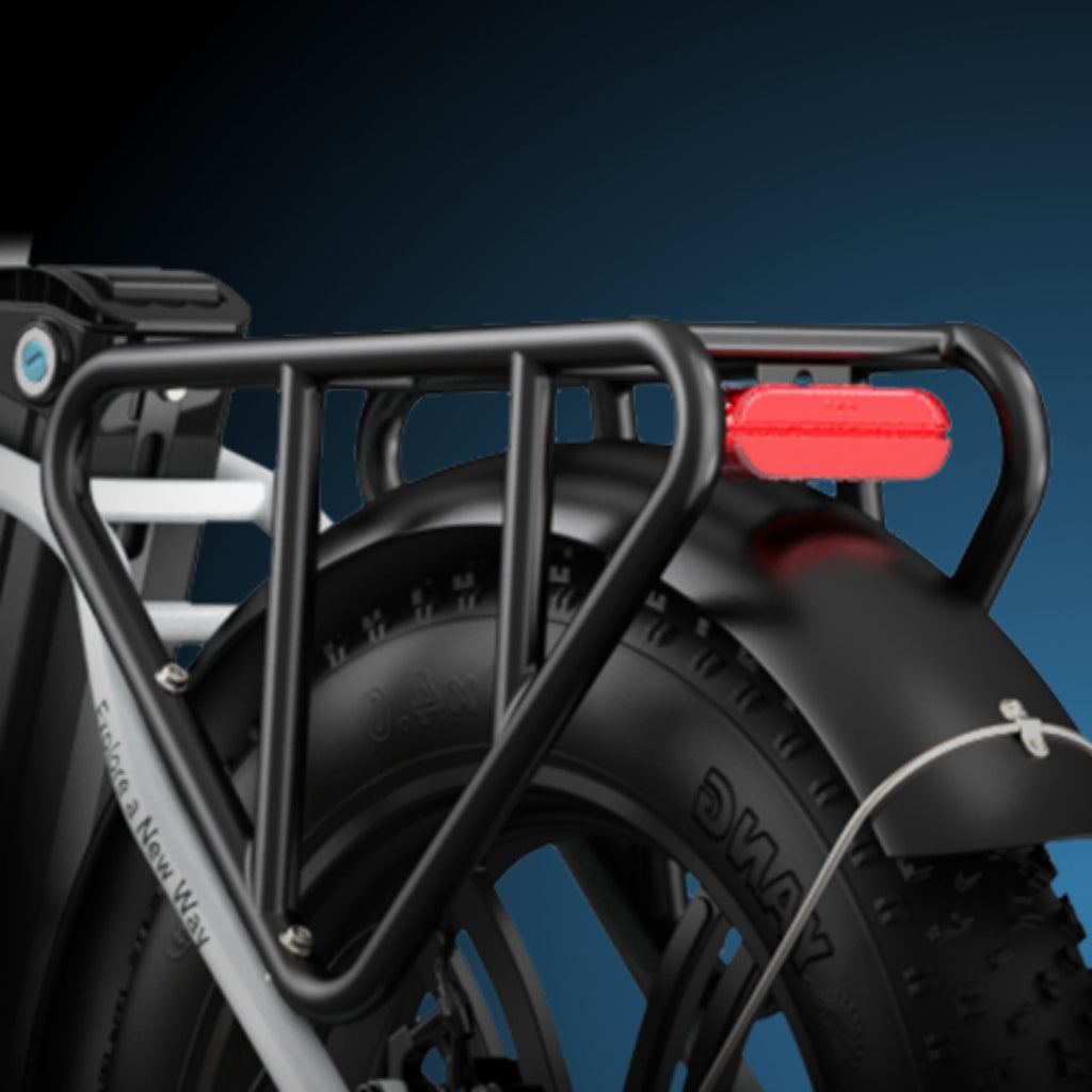 ENGWE - L20 COMBO, Step-Thru Cargo E-Bikes 48V 750W (L20 x2)