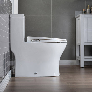 WOODBRIDGE T-0045 Toilet Modern Elongated with Soft Close Bidet Seat Dual Flush 1.1/1.6 GPF New