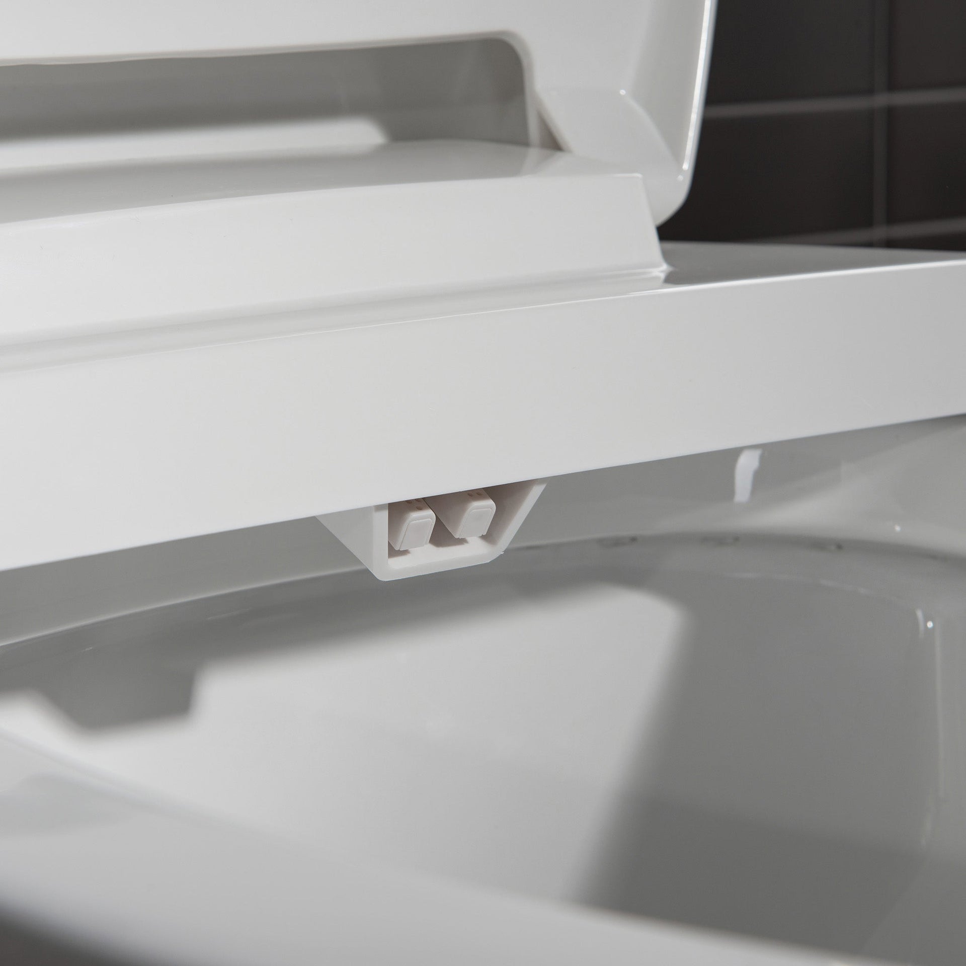 WOODBRIDGE T-0045 Toilet Modern Elongated with Soft Close Bidet Seat Dual Flush 1.1/1.6 GPF New