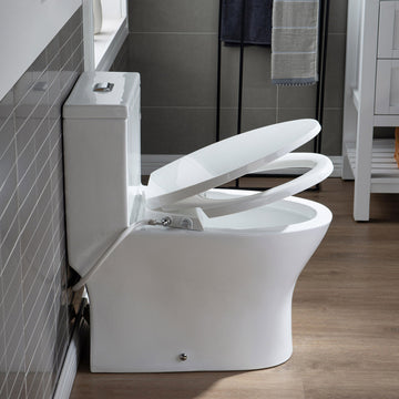 WOODBRIDGE T-0045 Toilet Modern Elongated with Soft Close Bidet Seat Dual Flush 1.1/1.6 GPF New