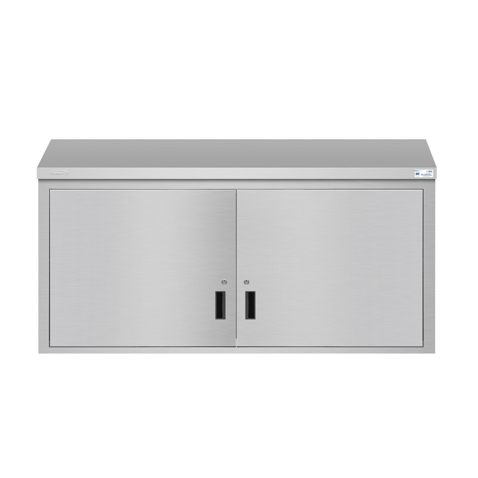 60 in. Kitchen Wall Cabinet with Hinged Doors and 2 shelves in Stainless-Steel
