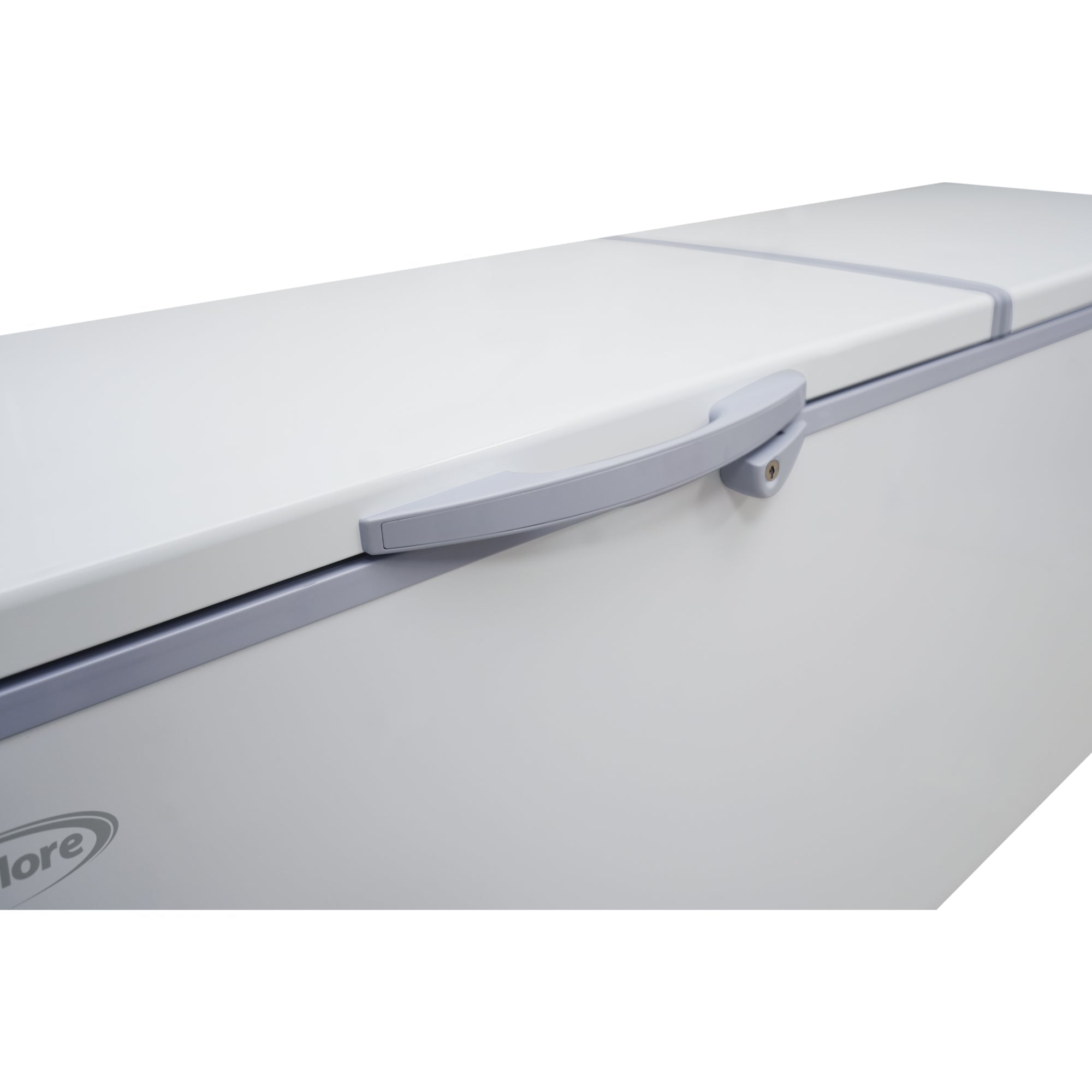77 in. Commercial Chest Freezer 24 cu ft.