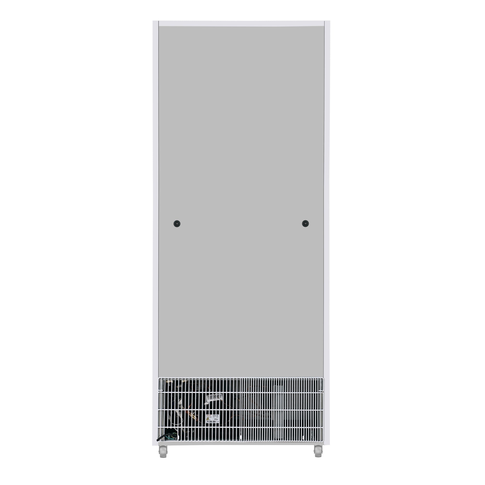21 Cu. Ft. Commercial  Freezer with Glass Door in White - Manual Defrost