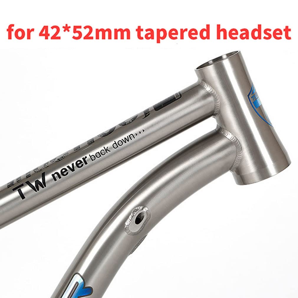 HIMALO Bike Frame 27.5/29er Mountain Bike Frame 15.5''/17''/19'' Lightweight Titanium Alloy Rigid Frame Disc Brake Thru Axle 12x142mm XC AM(29 * 19'')