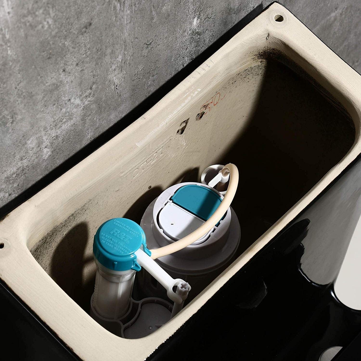 WOODBRIDGE B0921 Toilet Square One Piece Dual Flush 1/1.6 GPF Soft Close Seat New
