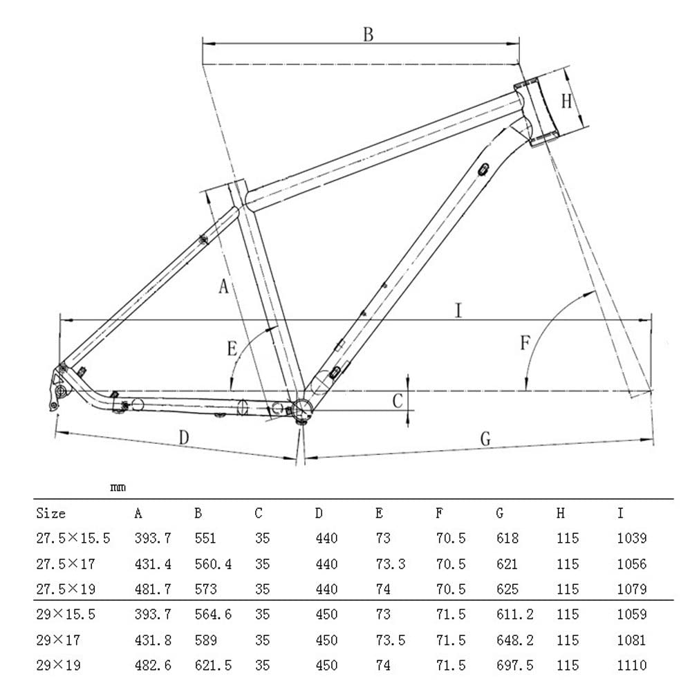 HIMALO Bike Frame 27.5/29er Mountain Bike Frame 15.5''/17''/19'' Lightweight Titanium Alloy Rigid Frame Disc Brake Thru Axle 12x142mm XC AM(29 * 17'')