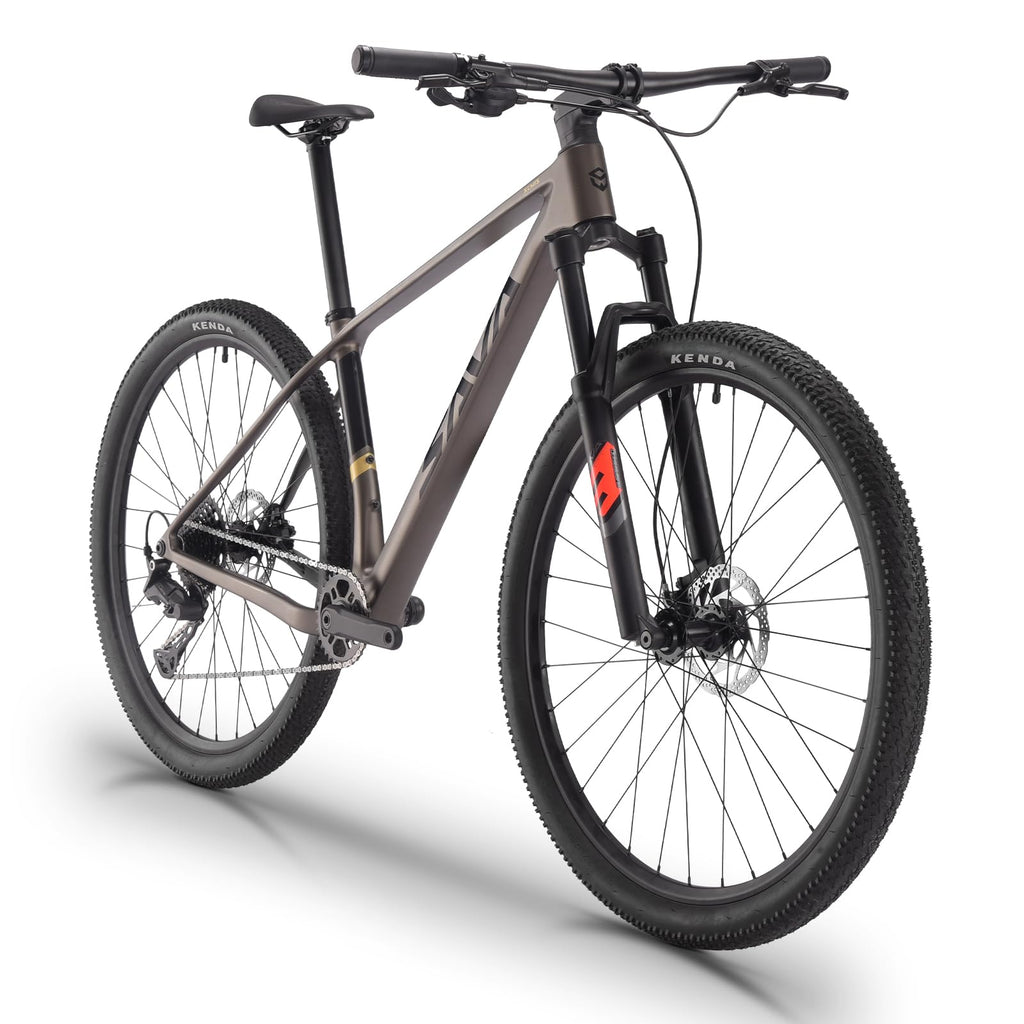 SAVADECK Carbon Fiber MTB with U6000 10 Speed Shift Groupset, Hydraulic Disc Brake with MT200 Break System (Rock Grey, 29 * 17)