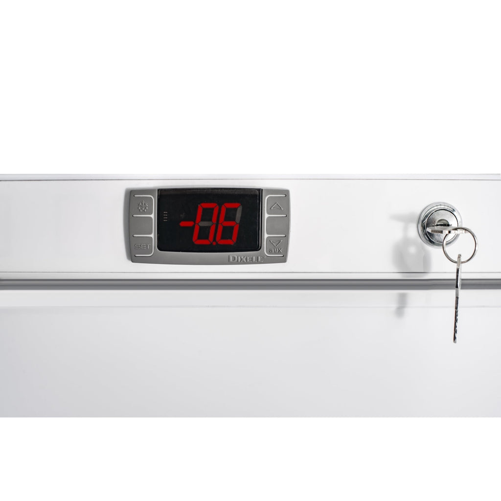 23 in. Commercial Auto-Defrost Reach-In Freezer ,12 cu. ft. in White