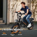 AVDLBIKE Electric Bike, 16'' Fat Tire eBike for Teens/Adults, 500W E-Bike with 36V/12.8Ah Removable Battery, 20MPH 45 Mile Range Commuting Electric Mountain Bike with Dual Dual Brakes-Orange A13