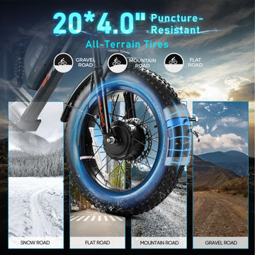 EAHORA - Terra II, Utility Electric Bike 28MPH