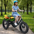 Smalibal [Fat Tires] 7-Speed Adult Tricycle 20 Inch - Stable 3 Wheel Bikes for Adults with Large Spacious Basket, Double Disc Brake, Picnic Shopping Tricycles for Seniors, Women, Men Black