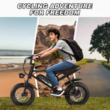 AVDLBIKE Electric Bike, 16'' Fat Tire E-Bike for Teens &Child/Adults, 500W Small Ebike with 36V/12.8Ah Removable Battery, 20 MPH /45 Mile Range, Full Suspension Off-Road Electric Dirt/Mountain Bike
