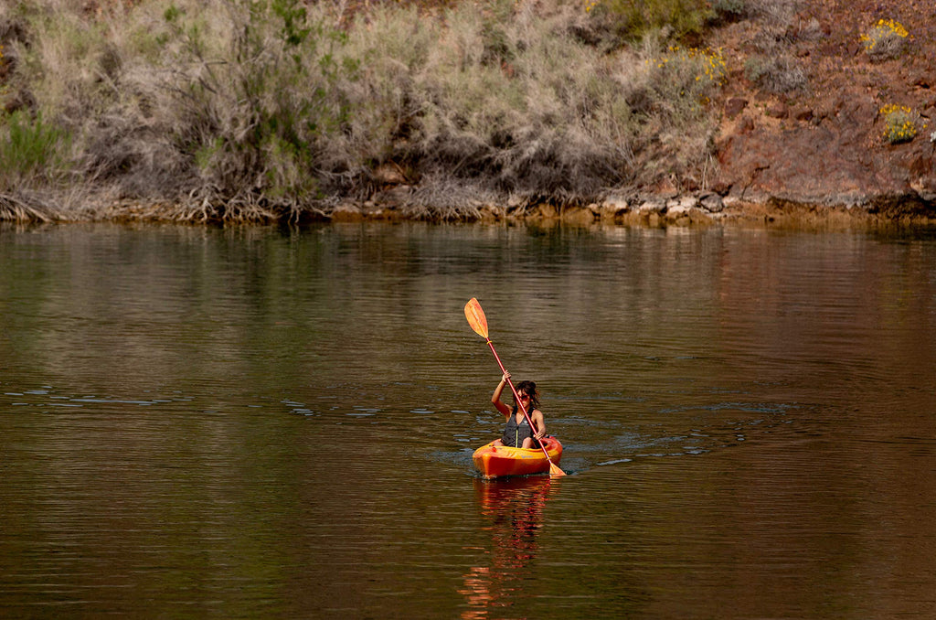 Perception Kayaks 10 | Sit Inside Kayak for Adults and Kids | Recreational and Multi-Water Kayak with Selfie Slot | 10' |Sunset