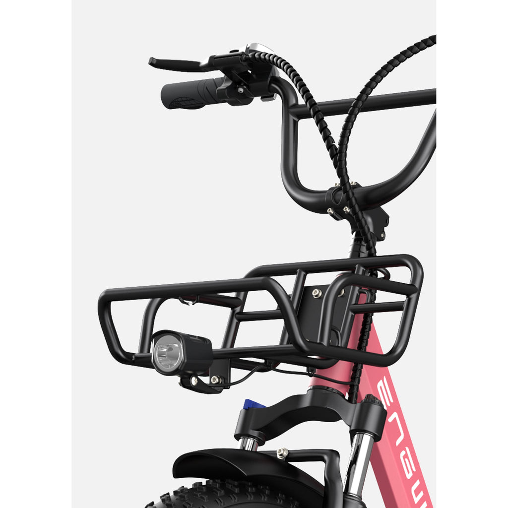 ENGWE - L20 COMBO, Step-Thru Cargo E-Bikes 48V 750W (L20 x2)