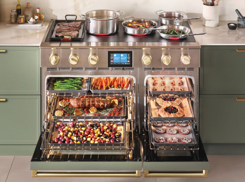 BLUESTAR  48″ Platinum Induction - Stainless Steel (BSPIR486Z)