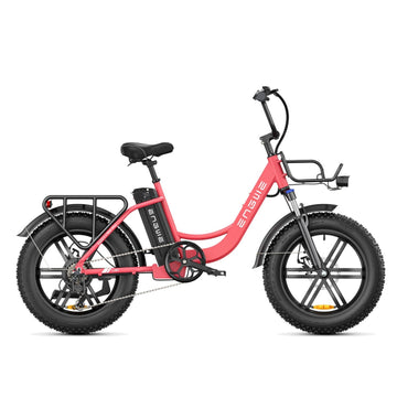 ENGWE - L20, Electric Step-Thru Cargo E-Bike 48V 750W 25MPH