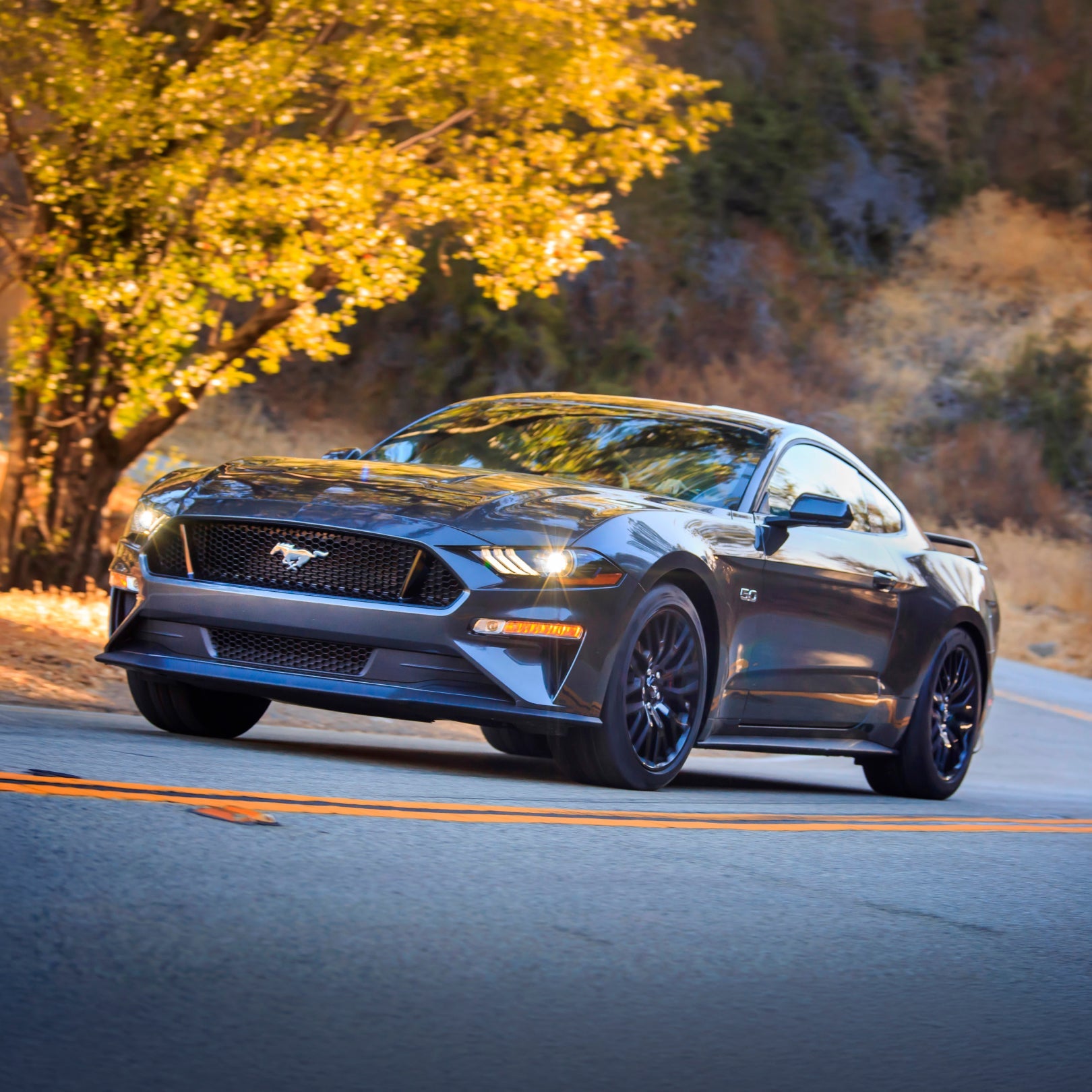 FORD MUSTANG® - SHADOW BLACK