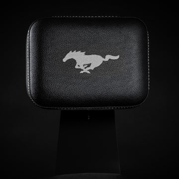 FORD MUSTANG® - SHADOW BLACK