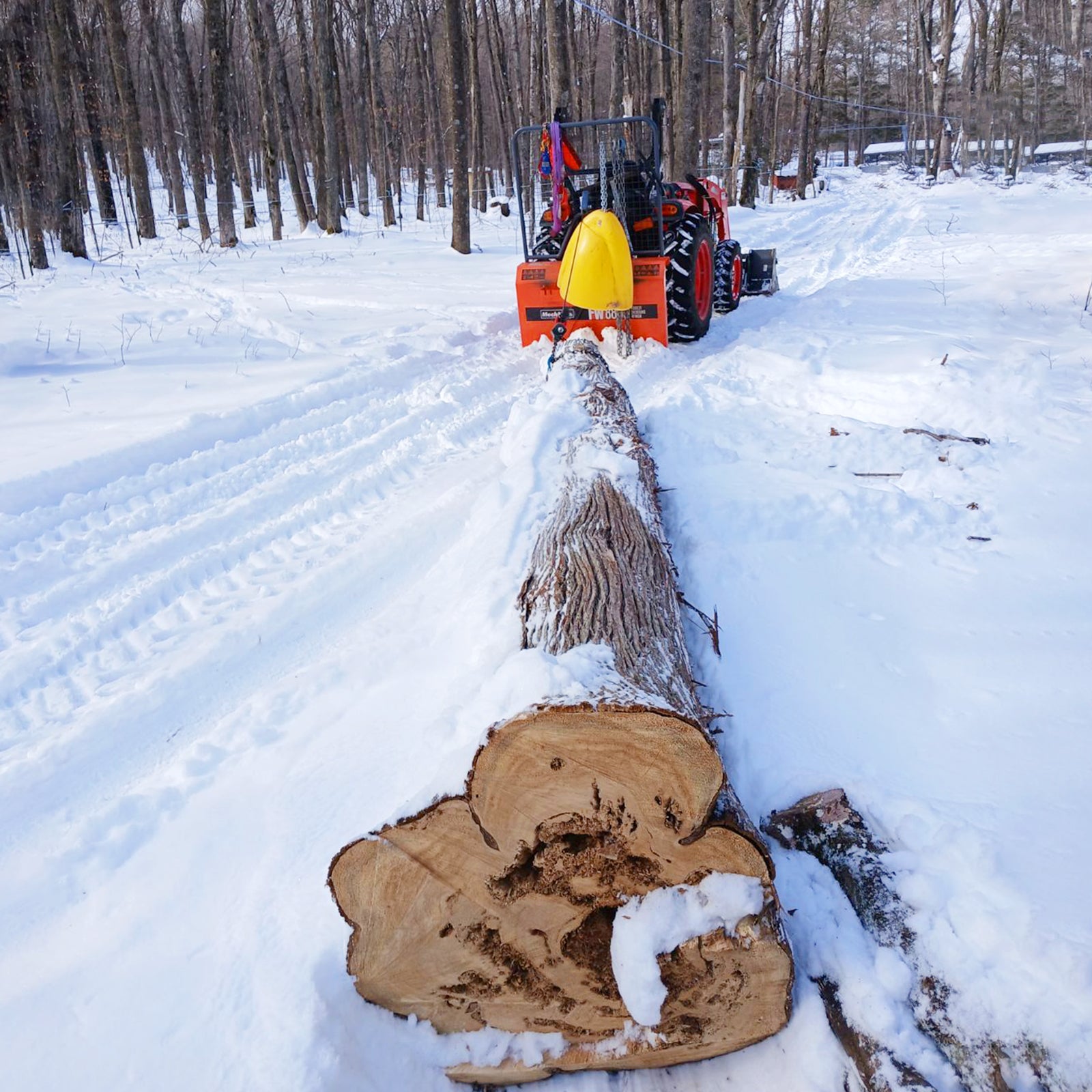 22" Portable Sawmill & Forestry Log Skidding Winch  Bundle, SM22 & FW8800