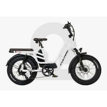 FUCARE - Libra, Full Suspension Electric Cargo Bike 48V 960WH