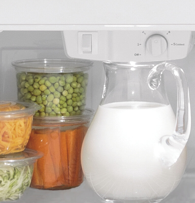 GE 29.8-Inch 19.2 Cu. Ft. Garage Ready Top-Freezer Refrigerator - White (GTS19KGNRWW)