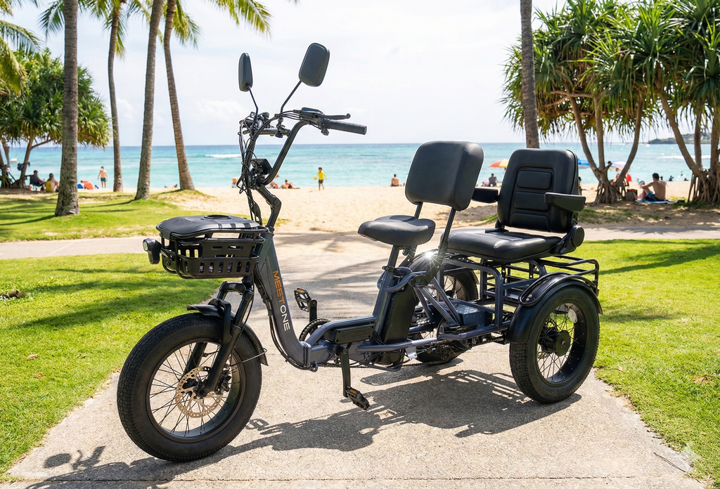 MEET ONE - Pair, Electric Trike with Passenger Seat 40Ah 22MPH