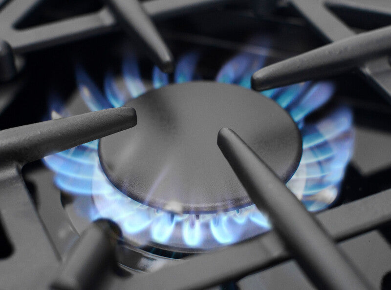 BLUESTAR  48″ Culinary Series (RCS) Sealed Burner Range - Stainless Steel (RCS48SBV2)