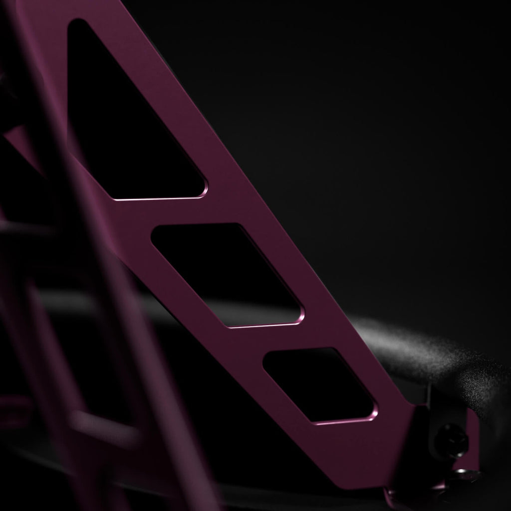 NO. 48 ALEX BOWMAN EDITION (ELEVATED)