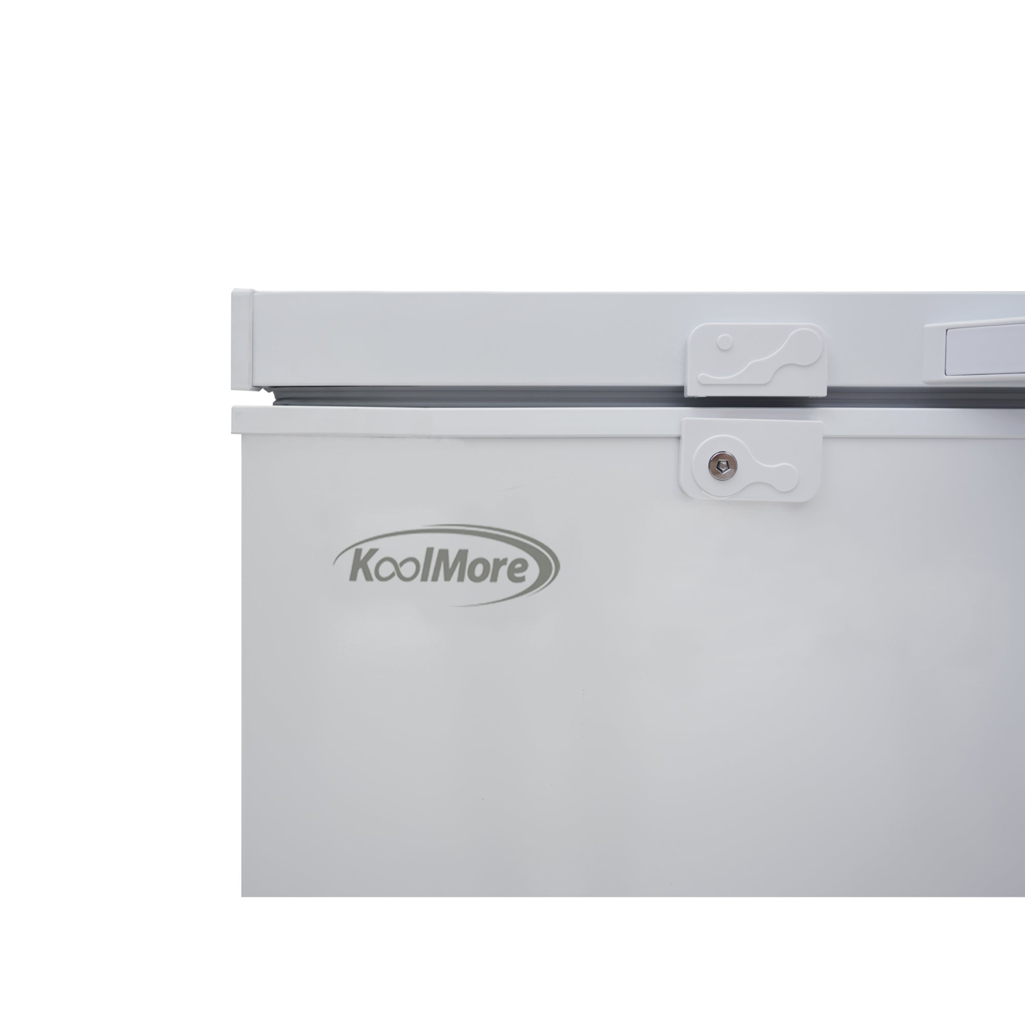 79 in. Commercial Chest Freezer, 30 Cu. Ft. in White, ETL Listed