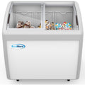 40 in. Display Ice Cream Freezer - 9 cu ft.