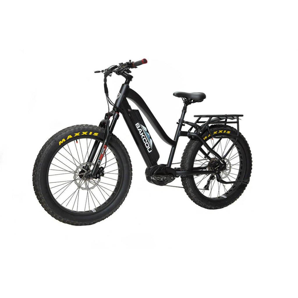 BAKCOU - MULE Step-Through (ST) 24" Electric Bike 48V 1500W