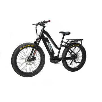 BAKCOU - MULE Step-Through (ST) 24" Electric Bike 48V 1500W