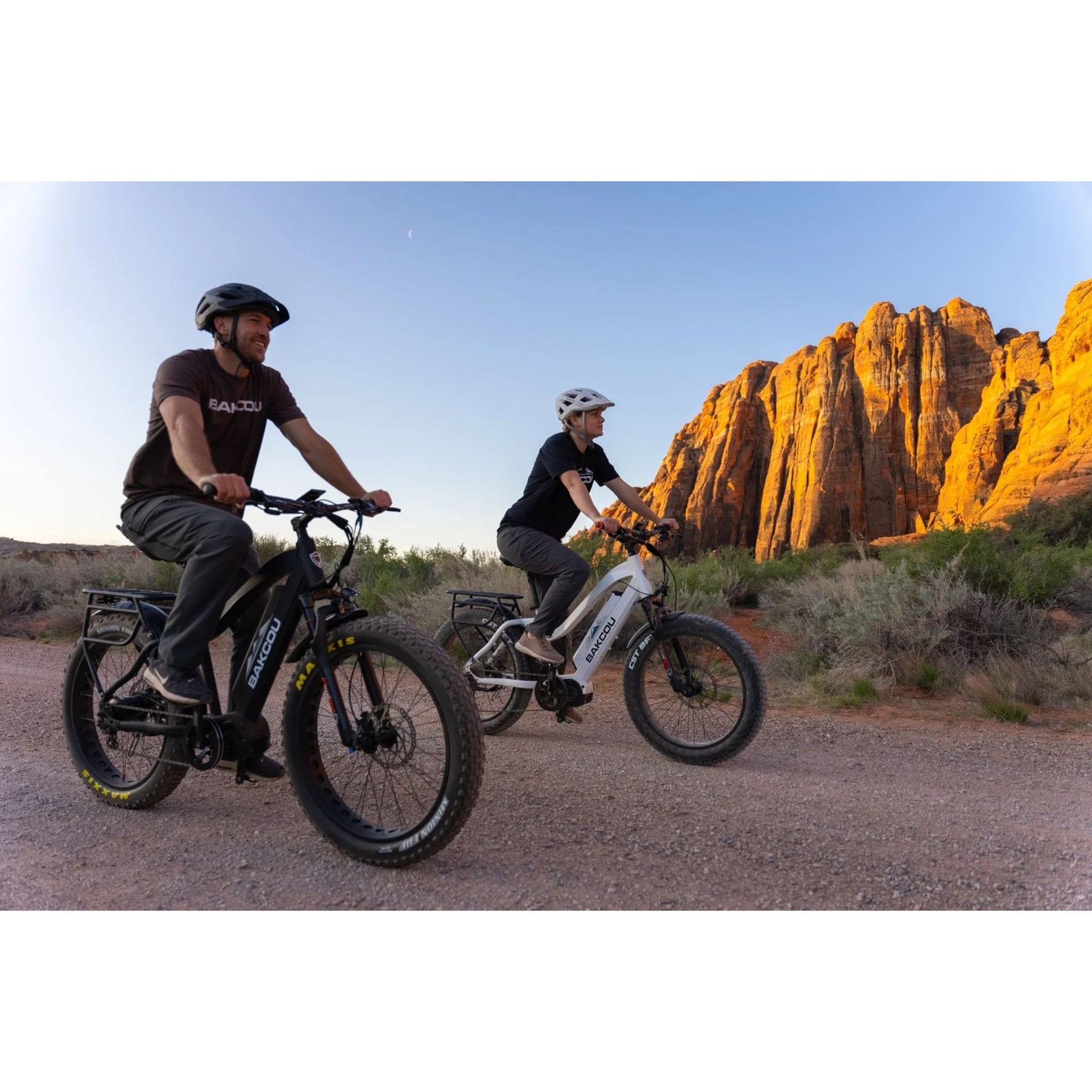 BAKCOU - MULE Step-Through (ST) 24" Electric Bike 48V 1500W